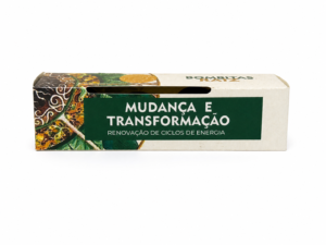Bombitas Raiz — Mudança e Transformação | Renovação de Ciclos de Energia