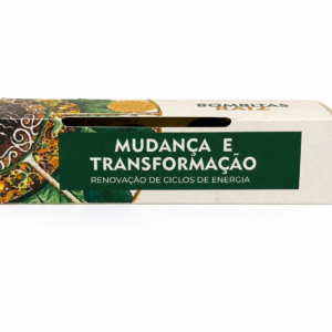 Bombitas Raiz — Mudança e Transformação | Renovação de Ciclos de Energia